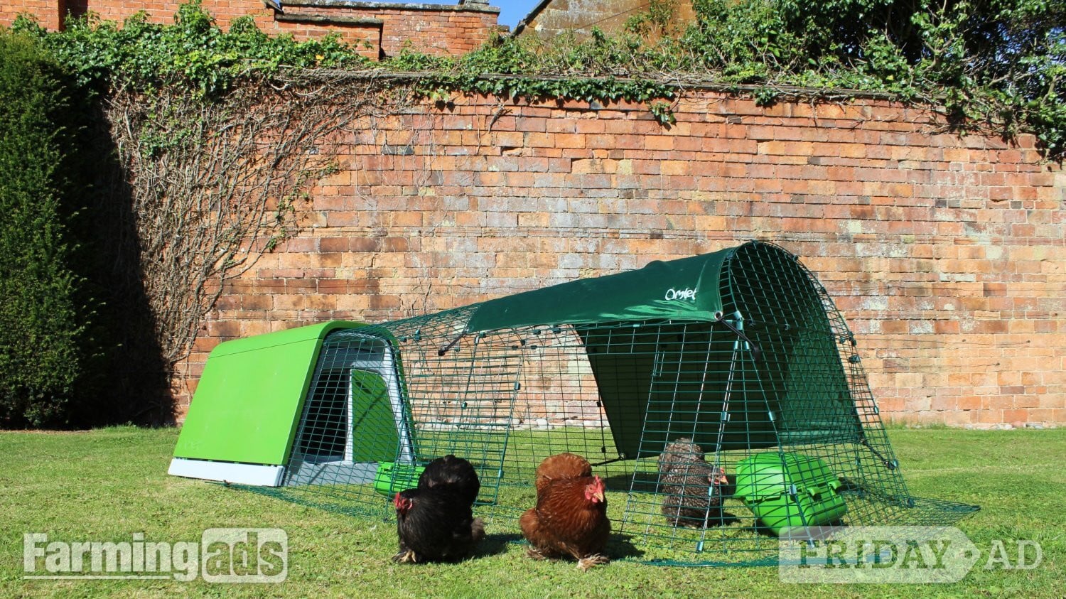 Leatherhead Omlet chicken coops