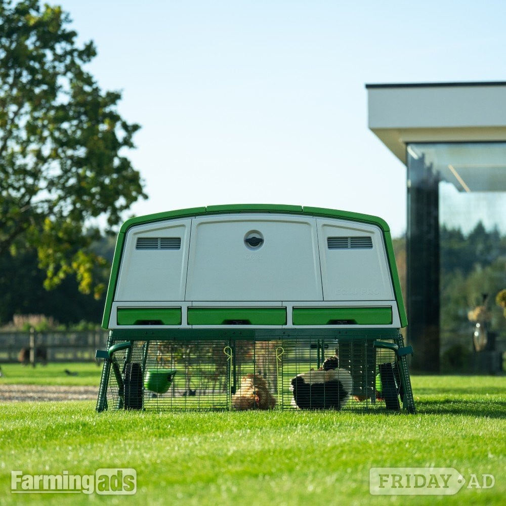 Omlet chicken coops - 