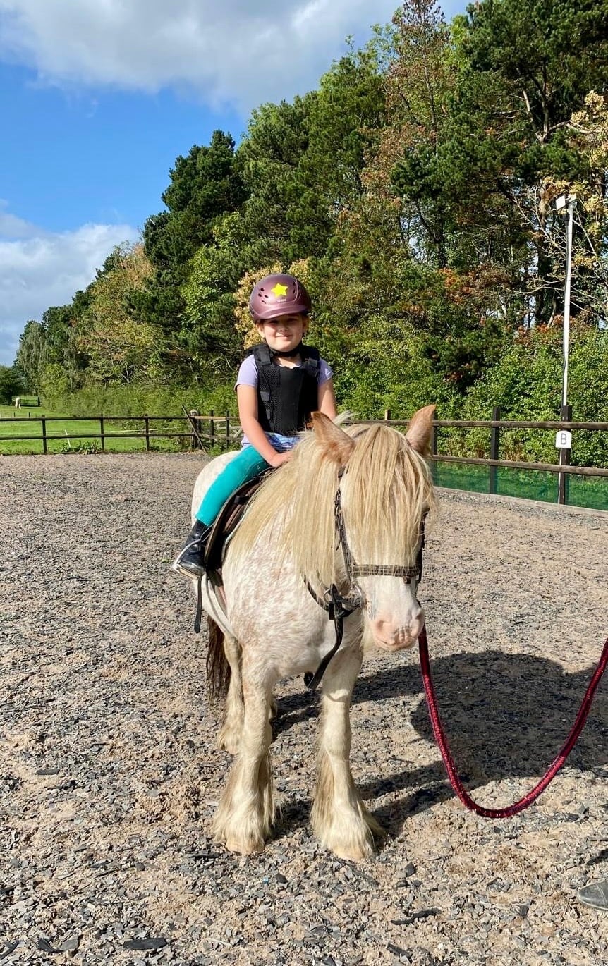 Ripley "Pinkie" Strawberry Roan Mare Lead Rein/First Ridden Pony