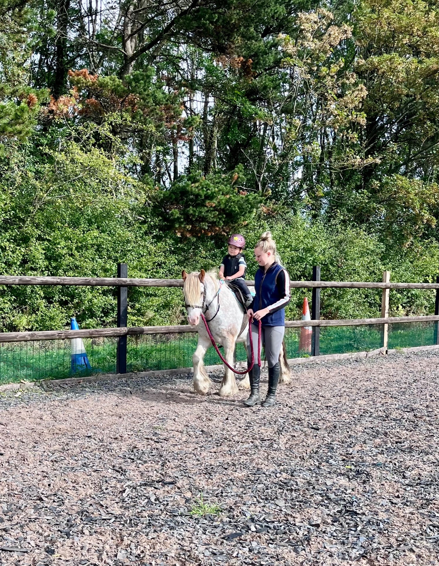 "Pinkie" Strawberry Roan Mare Lead Rein/First Ridden Pony - Horses in Ripley