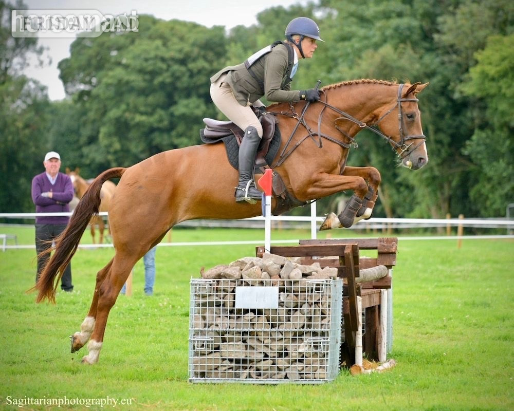 "Annie Be Sure " Chestnut Mare Eventer