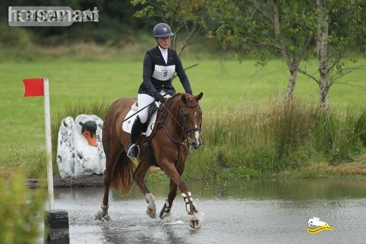 "Annie Be Sure " Chestnut Mare Eventer - Horses in Dublin