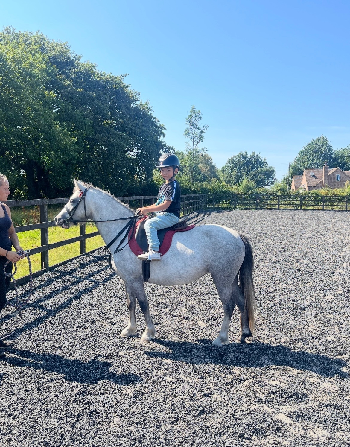 "Autum" Grey Filly All Rounder - Horses
