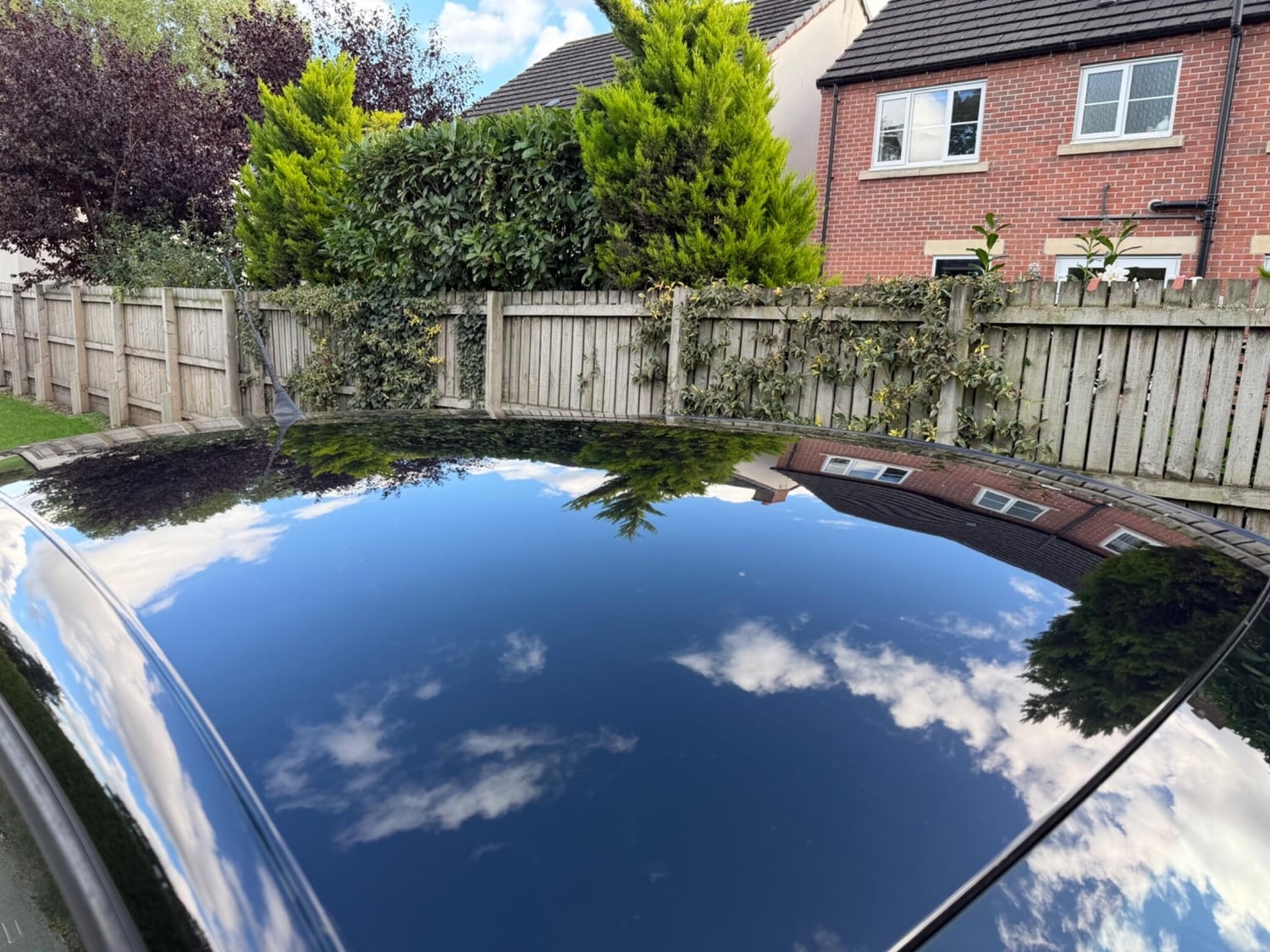 [ berth ]SEAT Ibiza