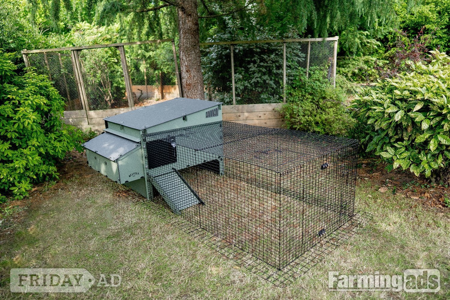 Chicken coops Nestera 100% recycled plastic