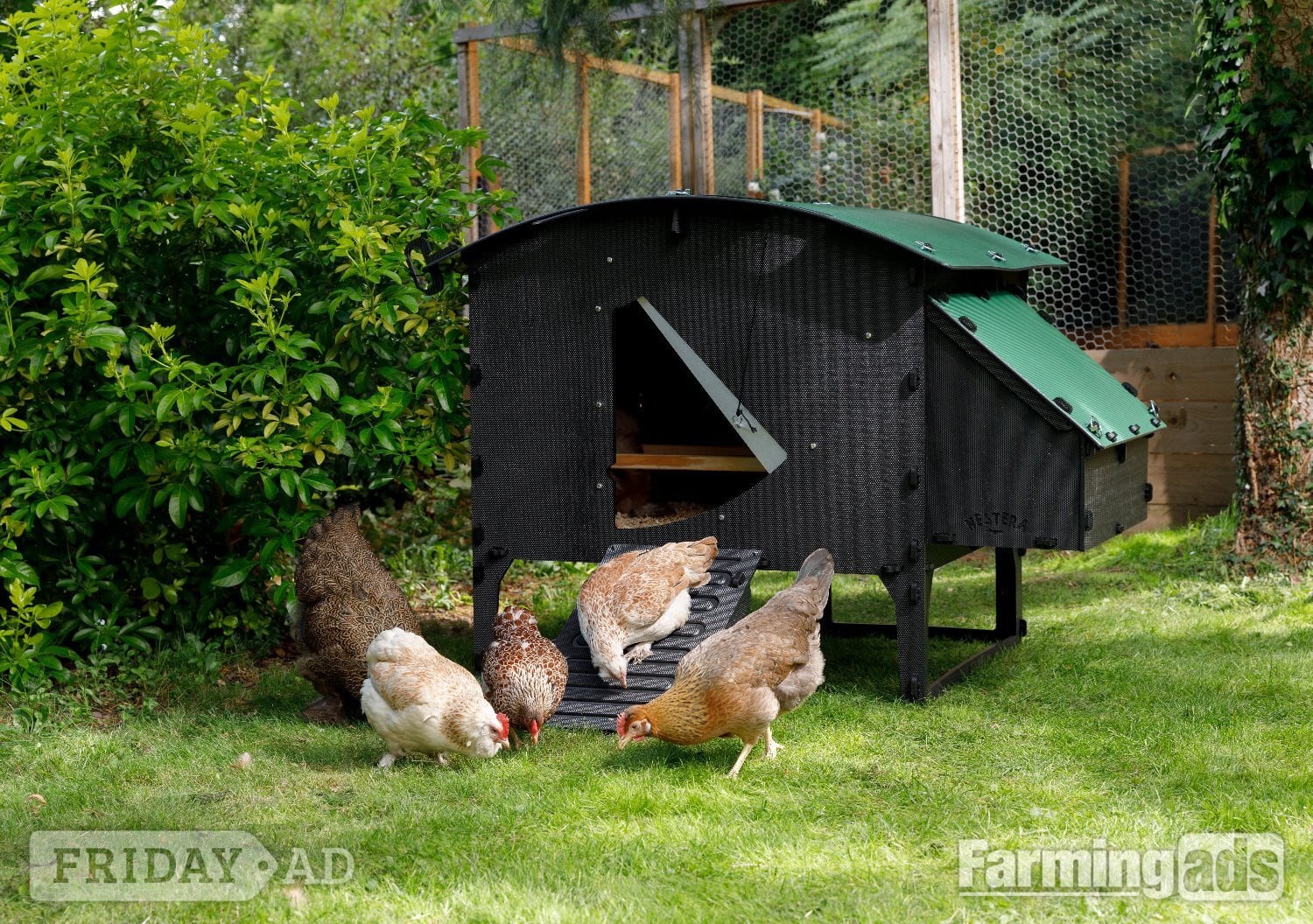 Leatherhead Chicken coops Nestera 100% recycled plastic