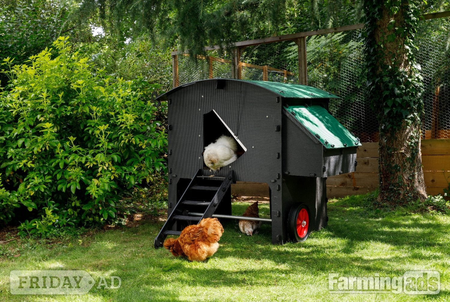 Chicken coops Nestera 100% recycled plastic -  in Leatherhead