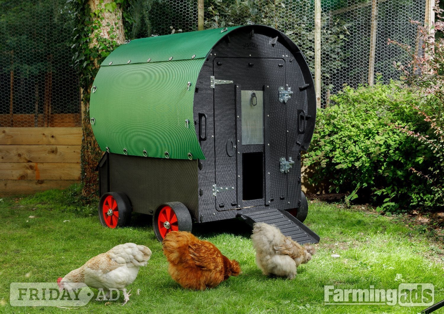 Chicken coops Nestera 100% recycled plastic - 