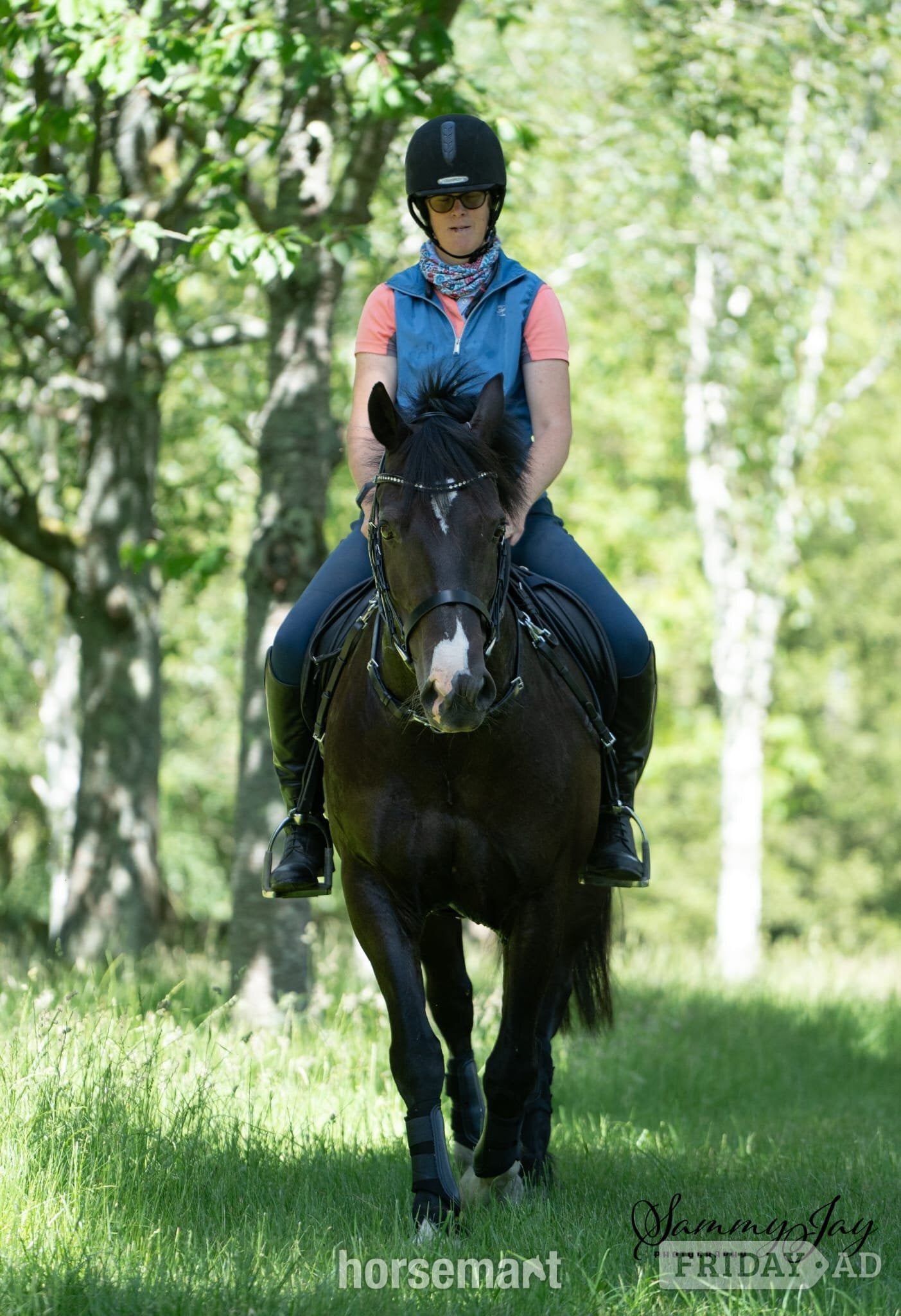 "Marl Mostyn (Merlin)" Black Gelding Dressage Horse - Horses in Lymington