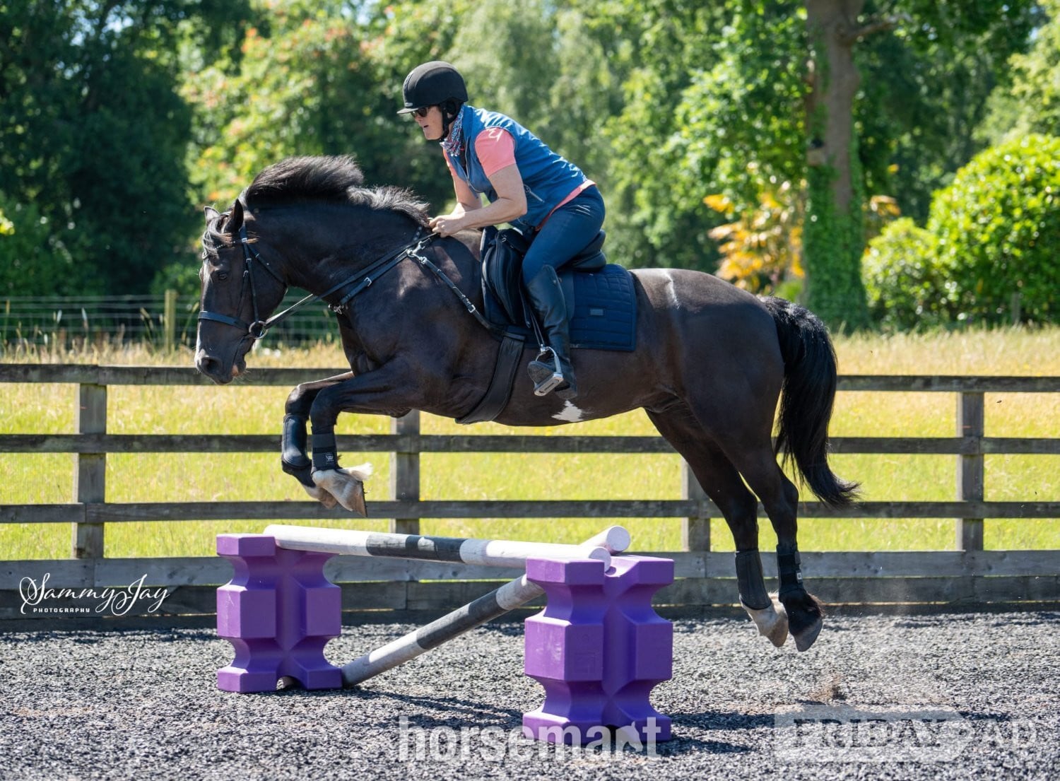 "Marl Mostyn (Merlin)" Black Gelding Dressage Horse