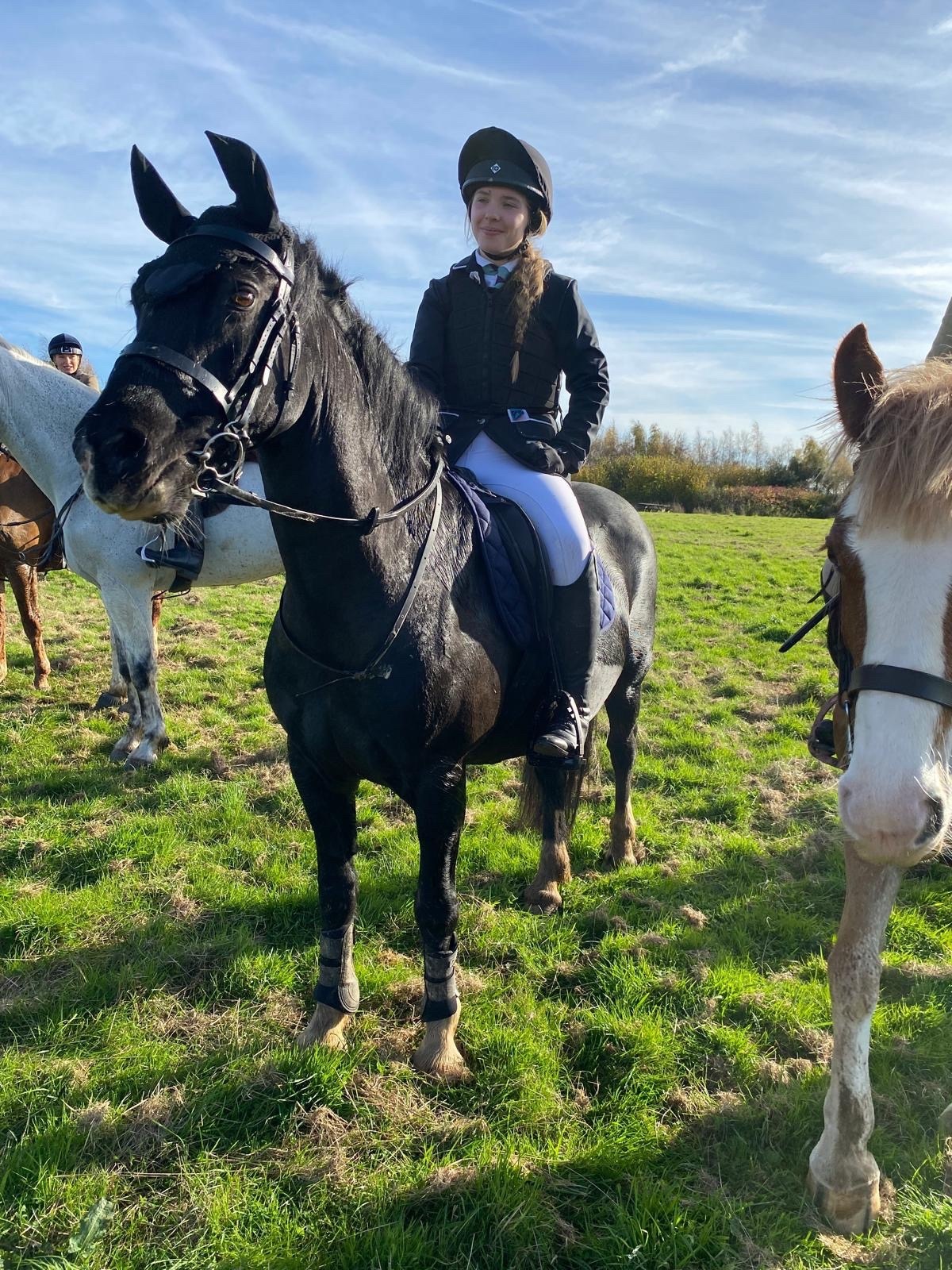 "Genie - Haylemma Autumn Mist" Black Mare All Rounder