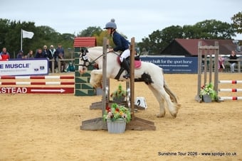 "Lulu" Piebald Mare All Rounder