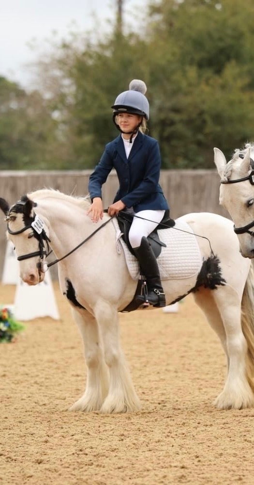 "Lulu" Piebald Mare All Rounder - Horses in Berkhamsted