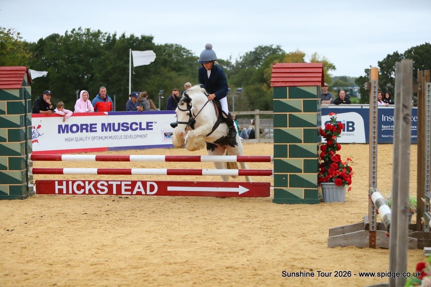 "Lulu" Piebald Mare All Rounder