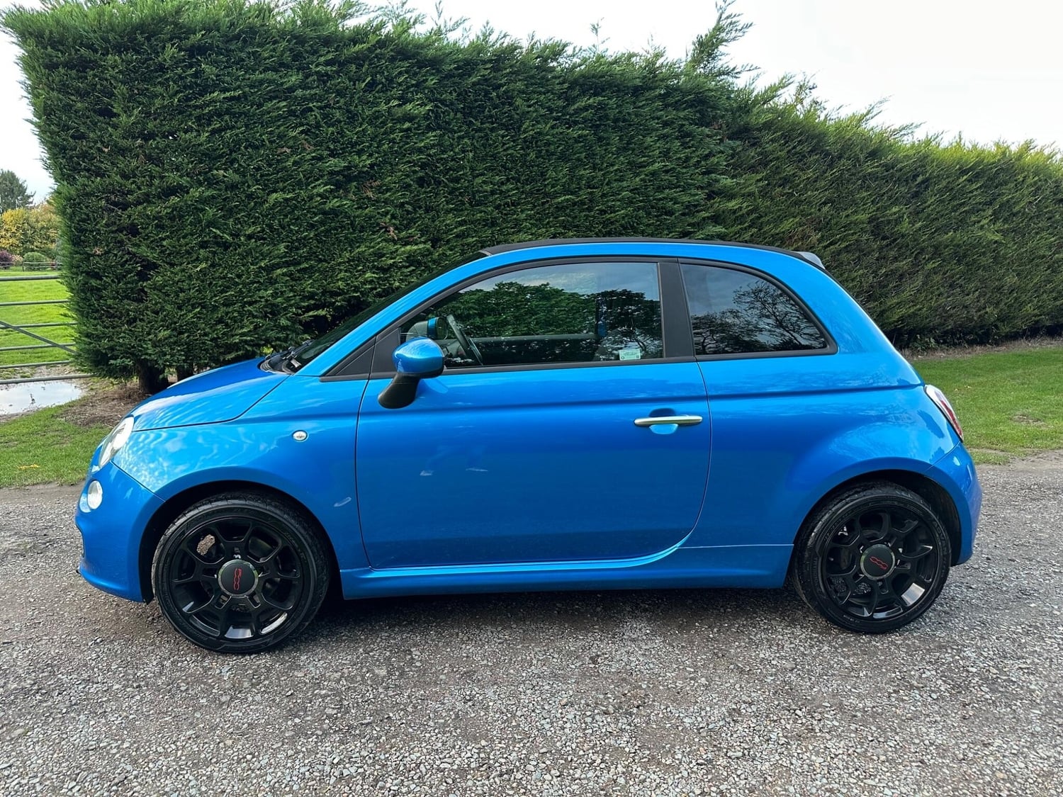 [ berth ]Fiat 500c