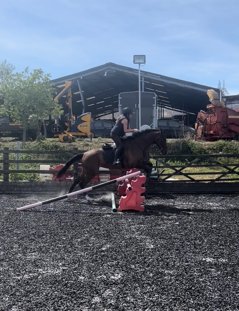 "Fiona" Bay Mare All Rounder