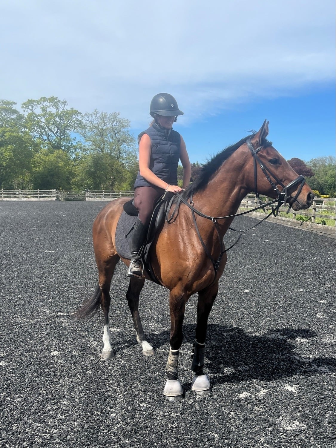 "Fiona" Bay Mare All Rounder - Horses