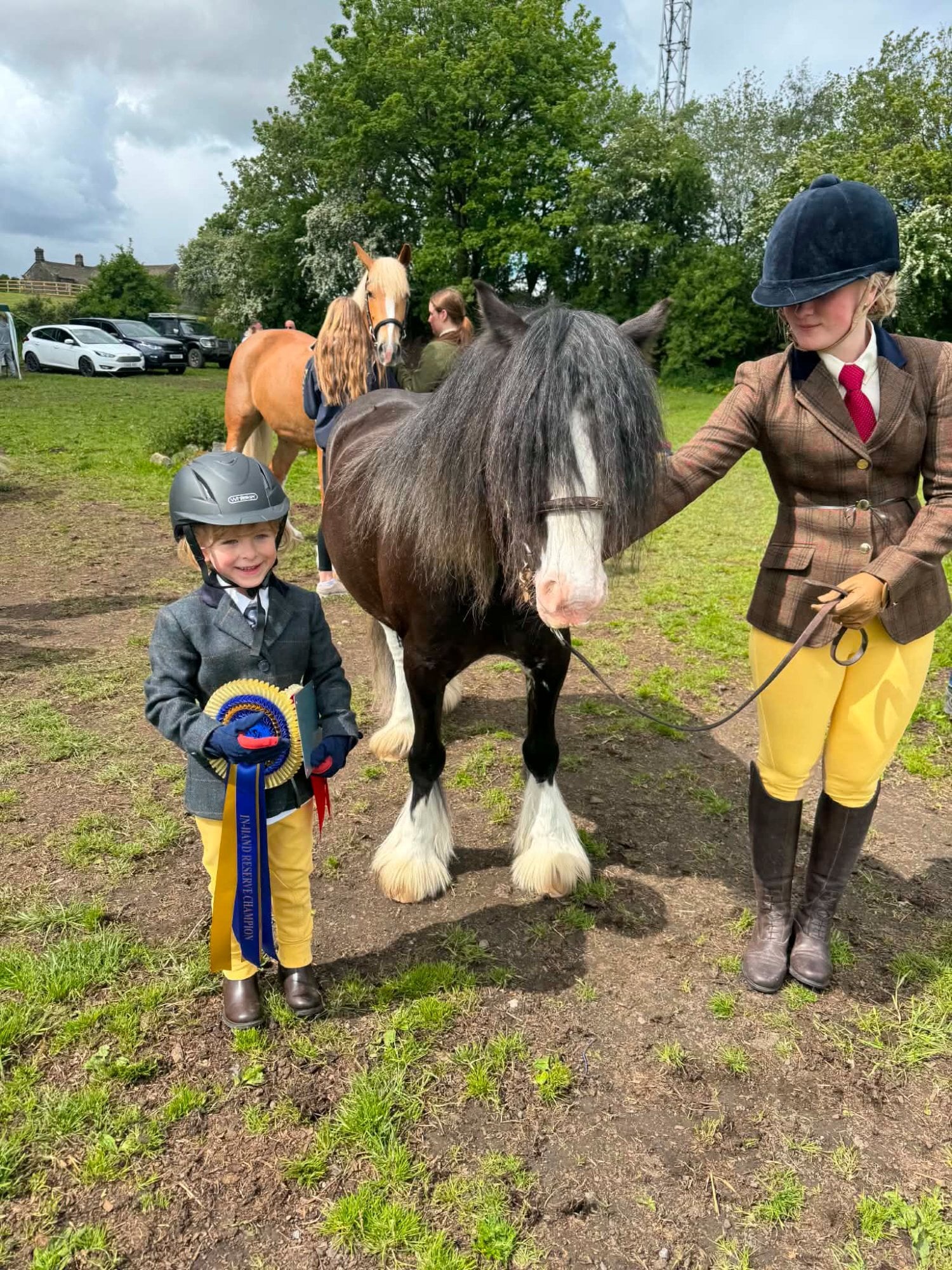 "Carltonlima flame (jazz) " Other Colour Mare Cob/Heavy Horse