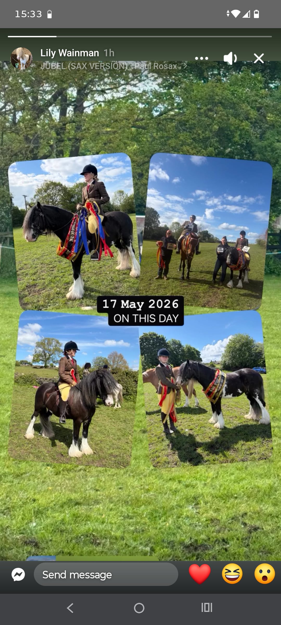 Bradford "Carltonlima flame (jazz) " Other Colour Mare Cob/Heavy Horse