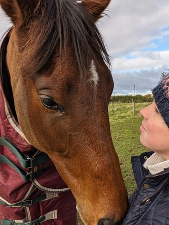 15.3 7 year old OTTB for part loan