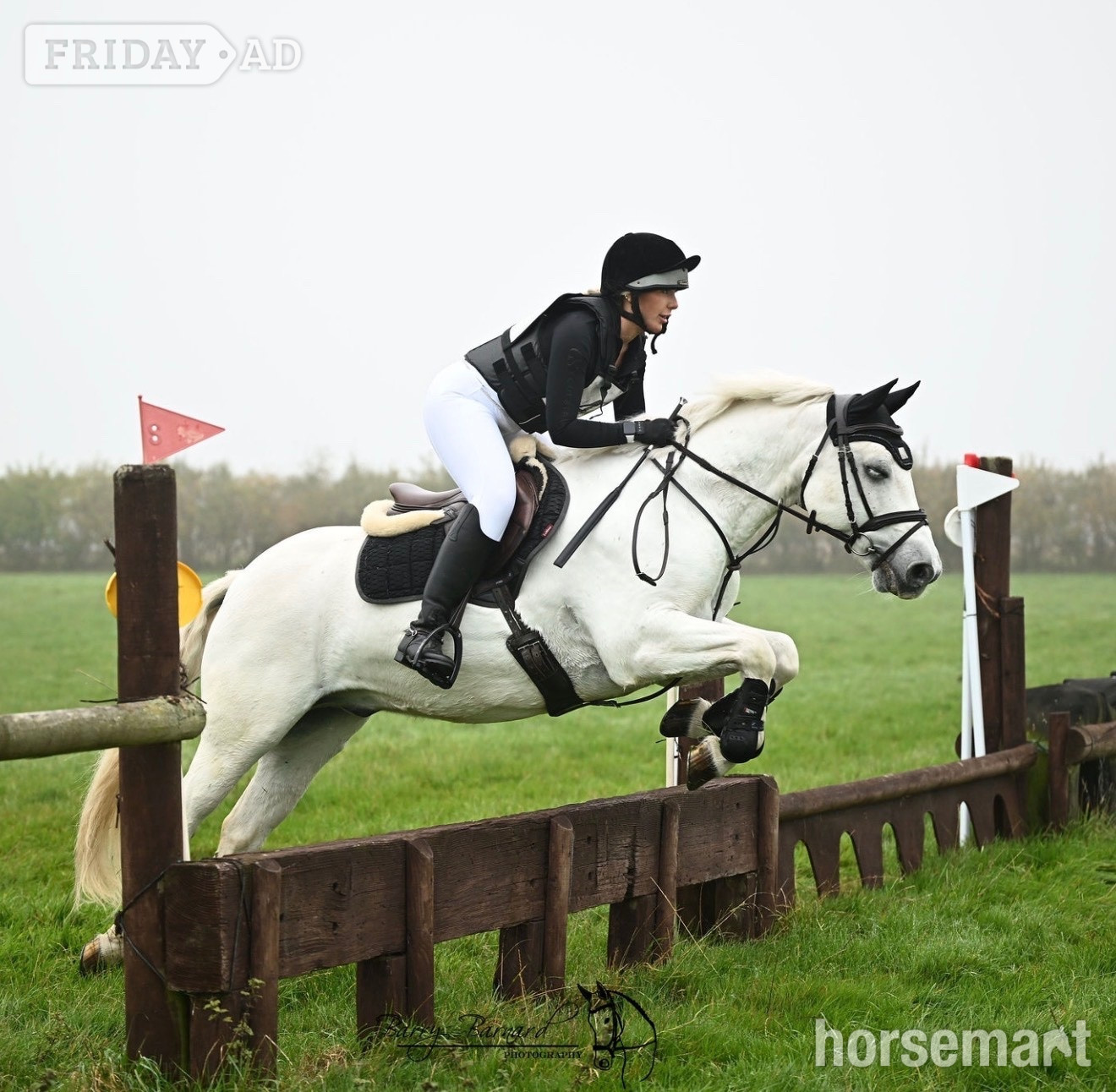 Baxterley "Kingsley" Grey Gelding All Rounder