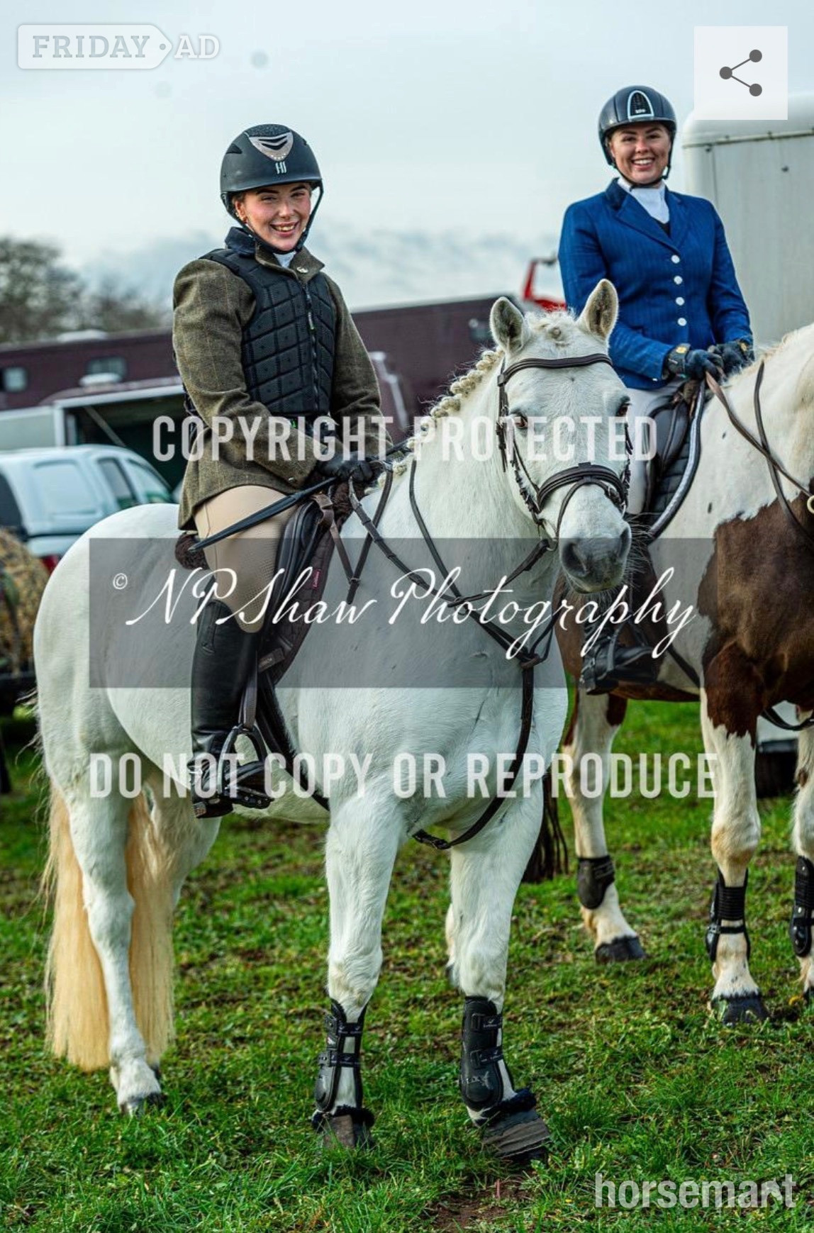 "Kingsley" Grey Gelding All Rounder - Horses in Baxterley