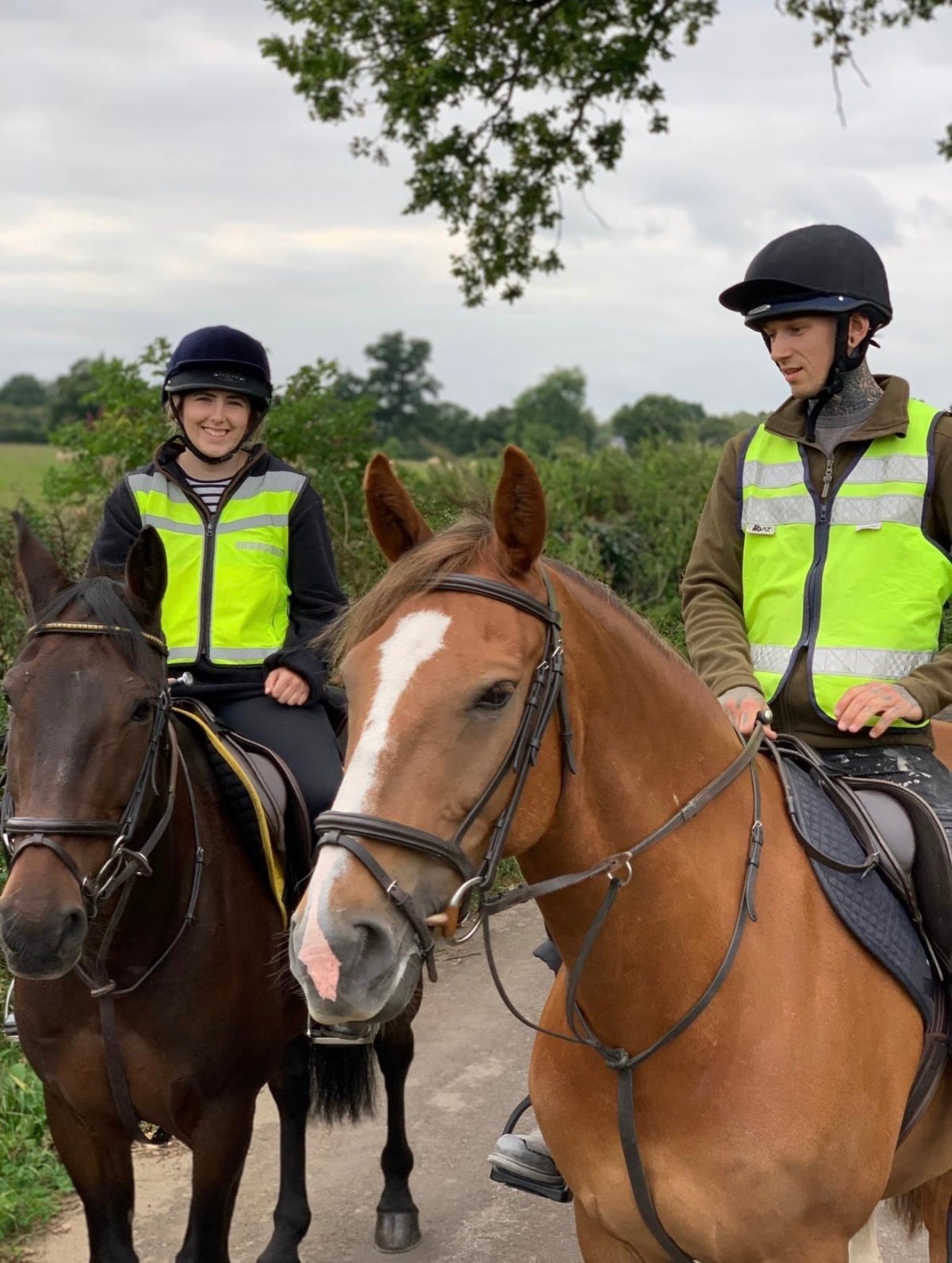 "Lambros" Chestnut Gelding All Rounder