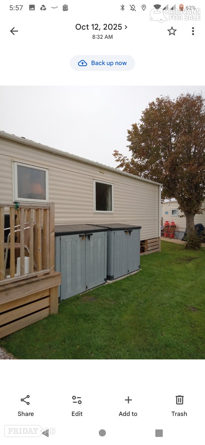 Abbeyknockmoy ABI Trieste 2018 for sale