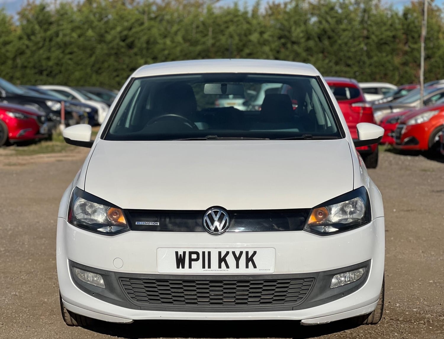 [ berth ]Volkswagen Polo