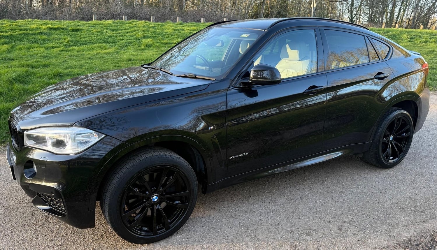 BMW X6 2016 - Cars in Waltham Abbey
