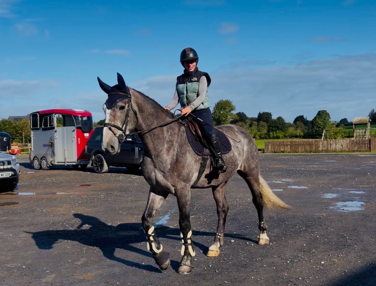 Raheen "Duke: rare find! versatile, talented, ultra quiet and honest dreamhorse " Roan Gelding All Rounder