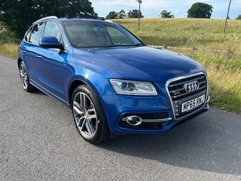 Audi SQ5 2015