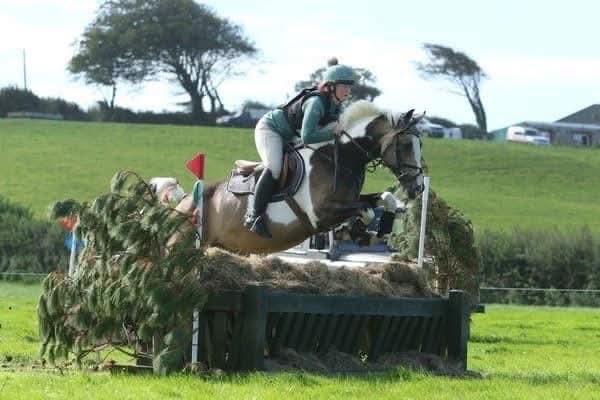 Ystrad Mynach "Muirdrum Cruz " Buckskin Stallion Stallion