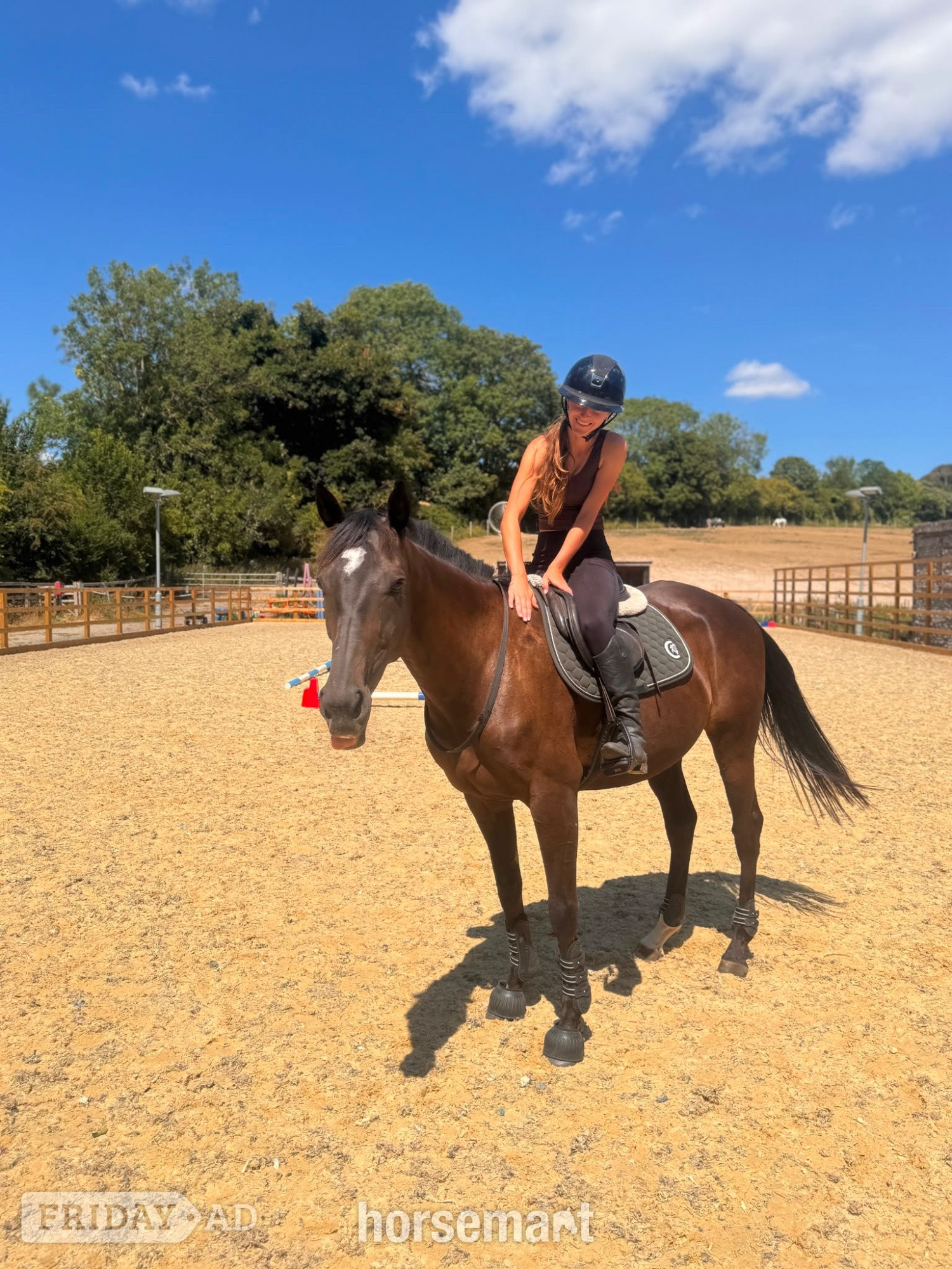 "Trixie" Black Mare All Rounder in Lancing