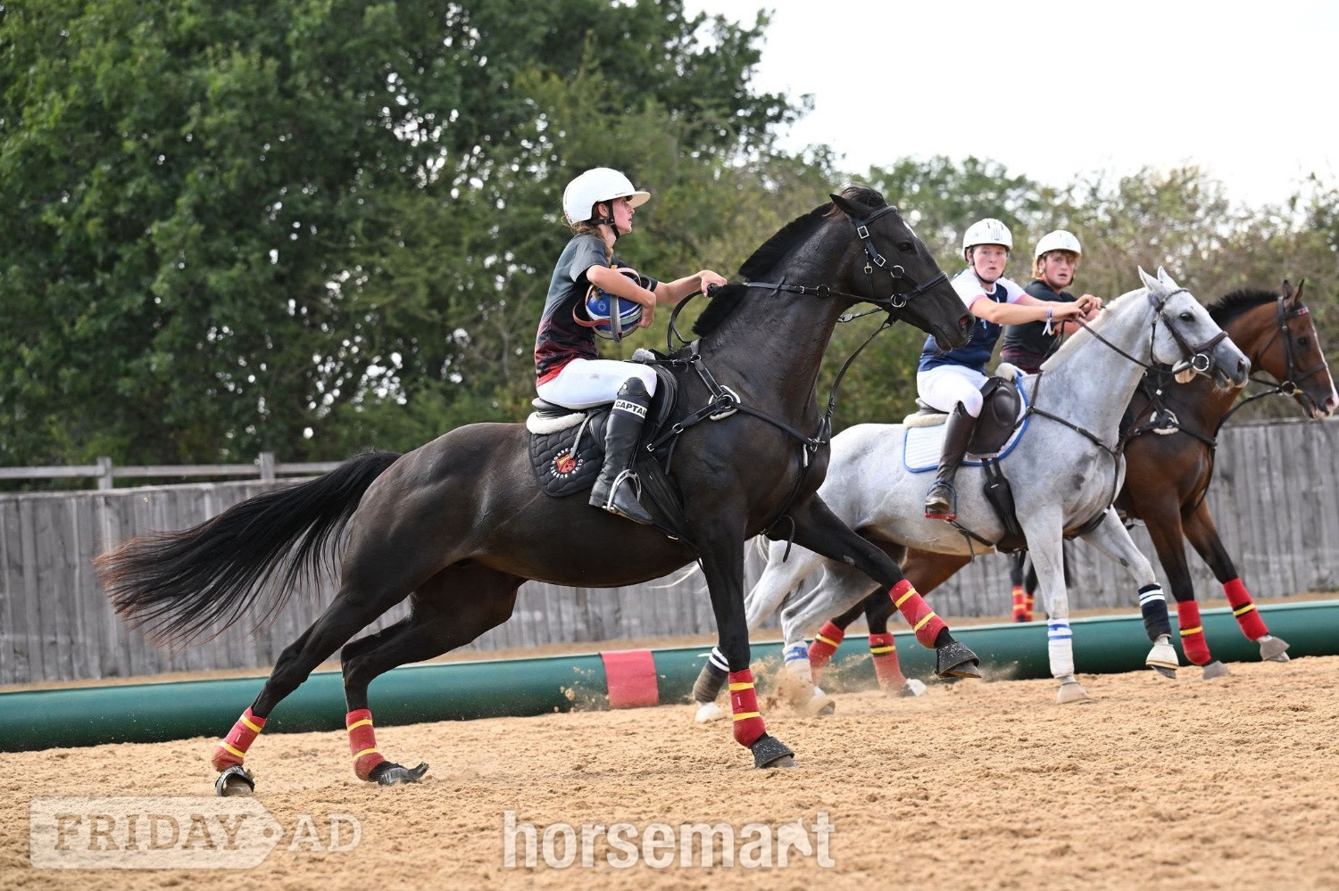 Lancing "Trixie" Black Mare All Rounder