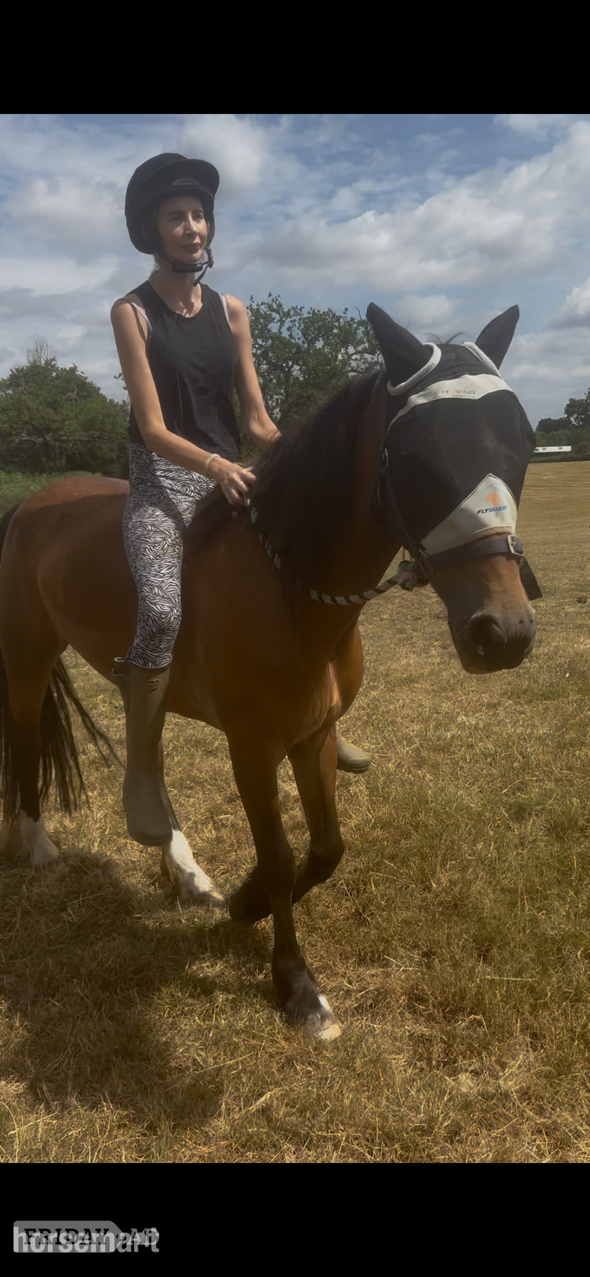 "Miss menai Melanie" Bay Mare All Rounder
