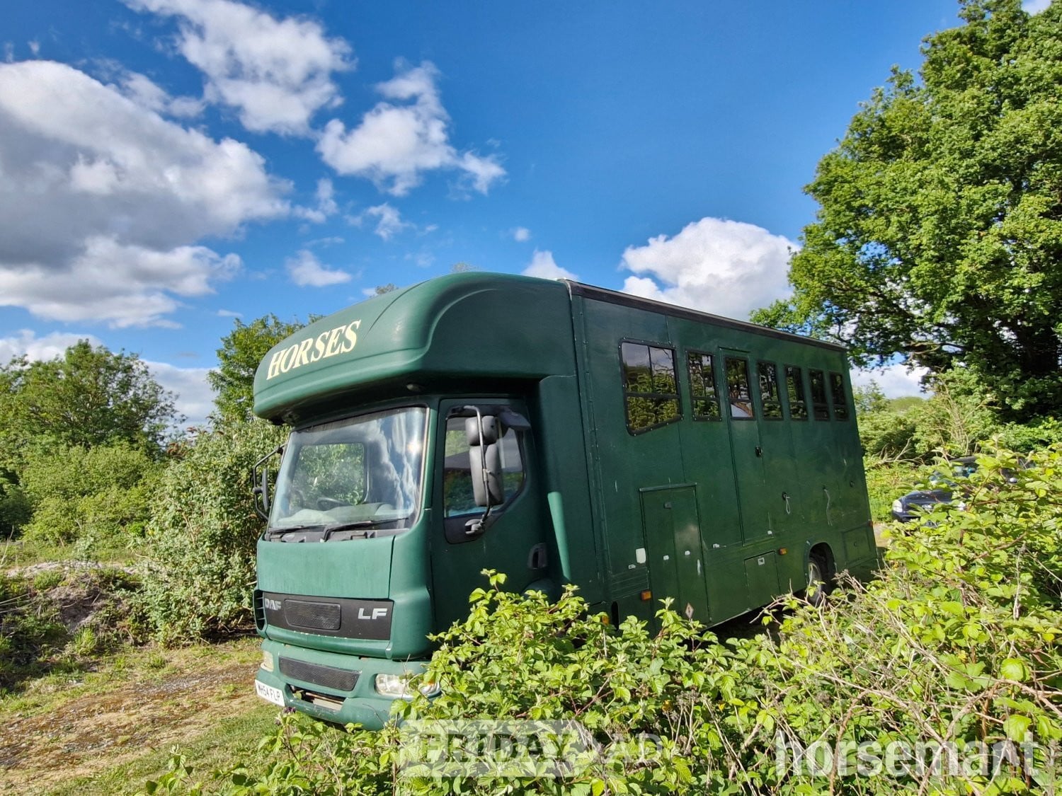 RJ Horseboxes none Daf Trucks Horsebox in Devizes