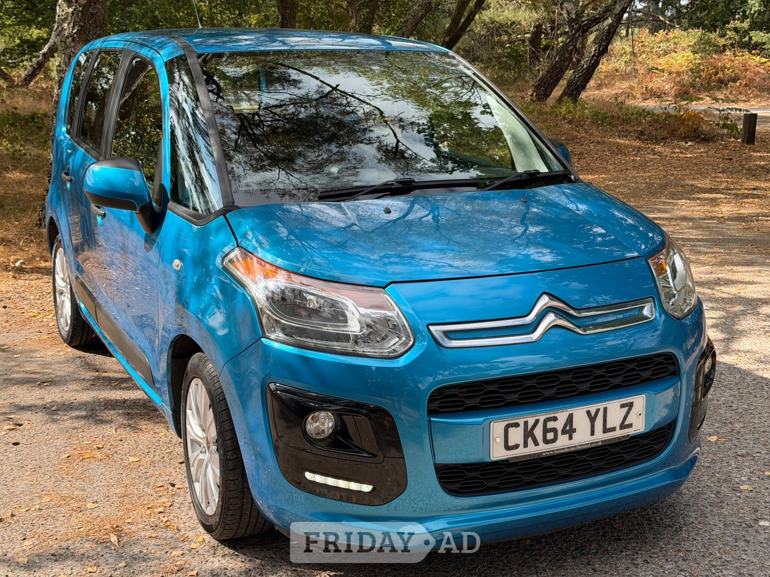Citroen C3 Picasso Ringwood