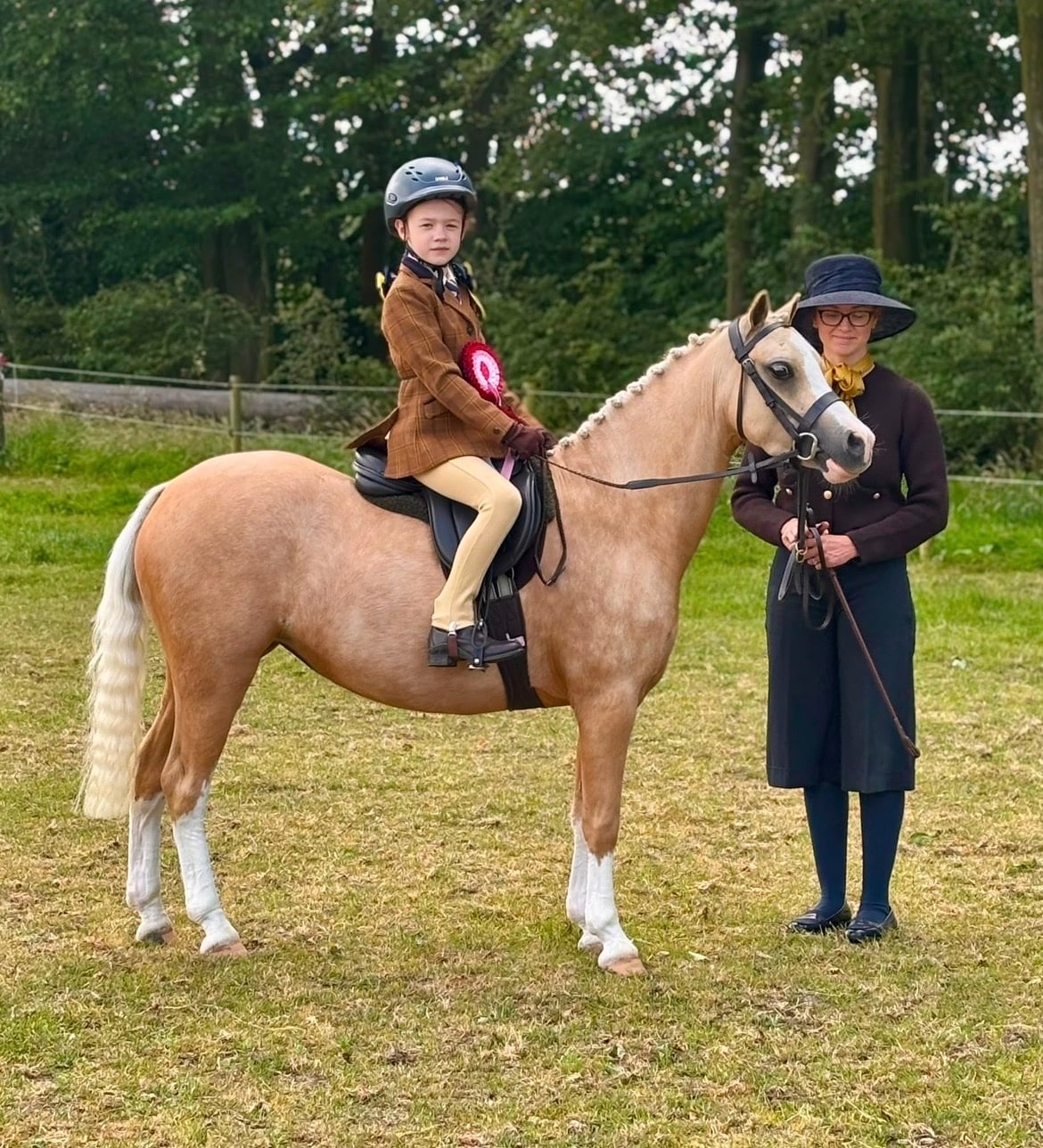 "Danjo Cinderella aka Cindy" Palomino Mare Lead Rein/First Ridden Pony