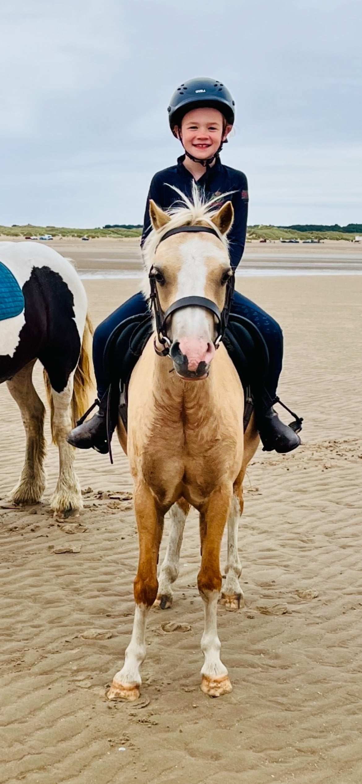 "Danjo Cinderella aka Cindy" Palomino Mare Lead Rein/First Ridden Pony - Horses