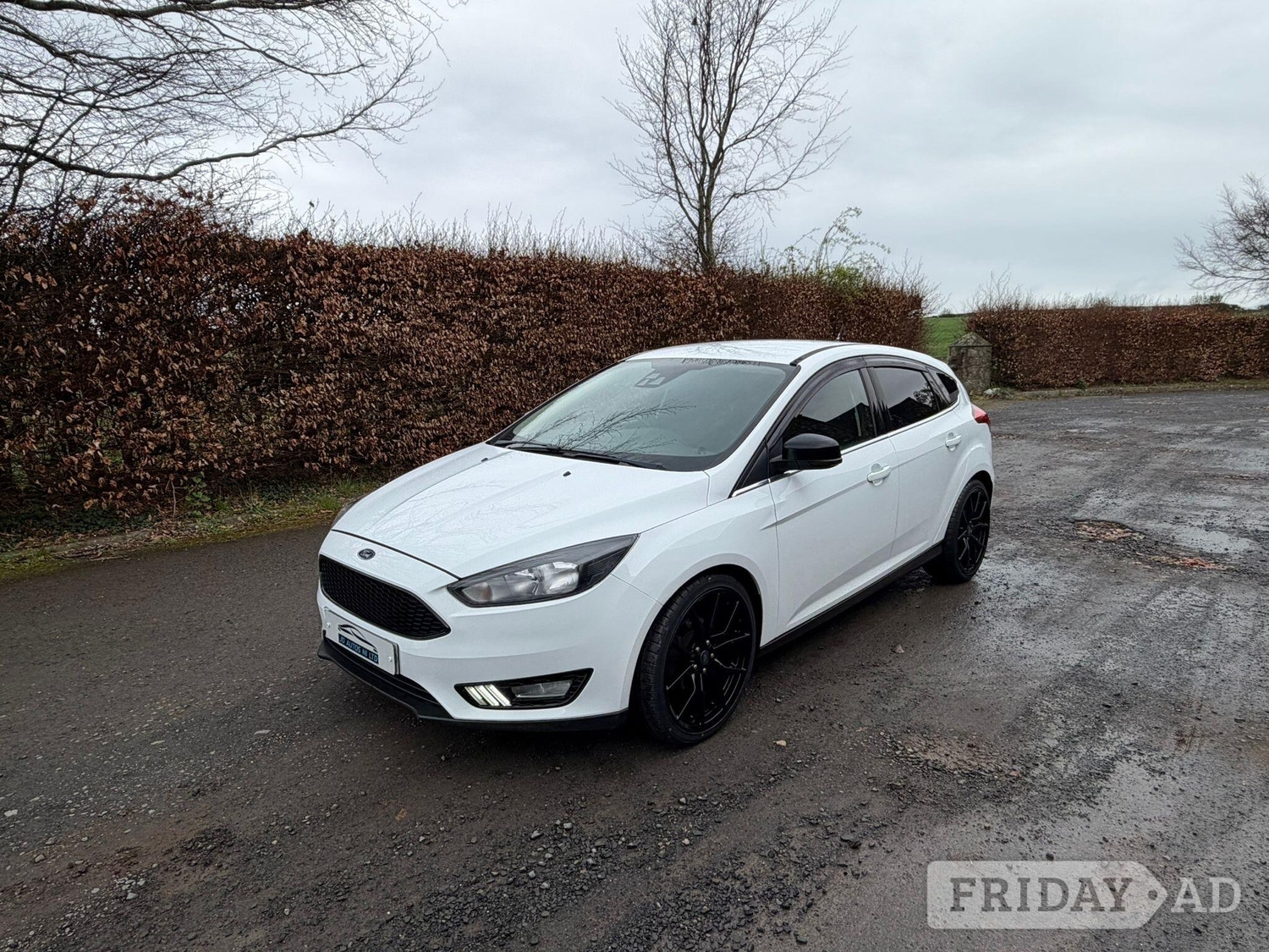 [ berth ]Ford Focus