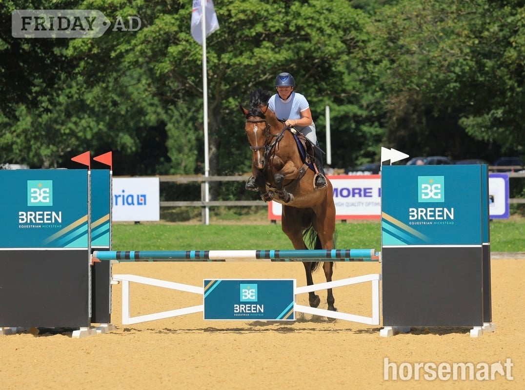 "Cece" Bay Mare Young Sport Horse in Godalming