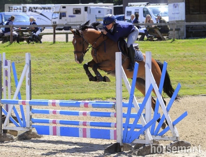 "Cece" Bay Mare Young Sport Horse - Horses in Godalming
