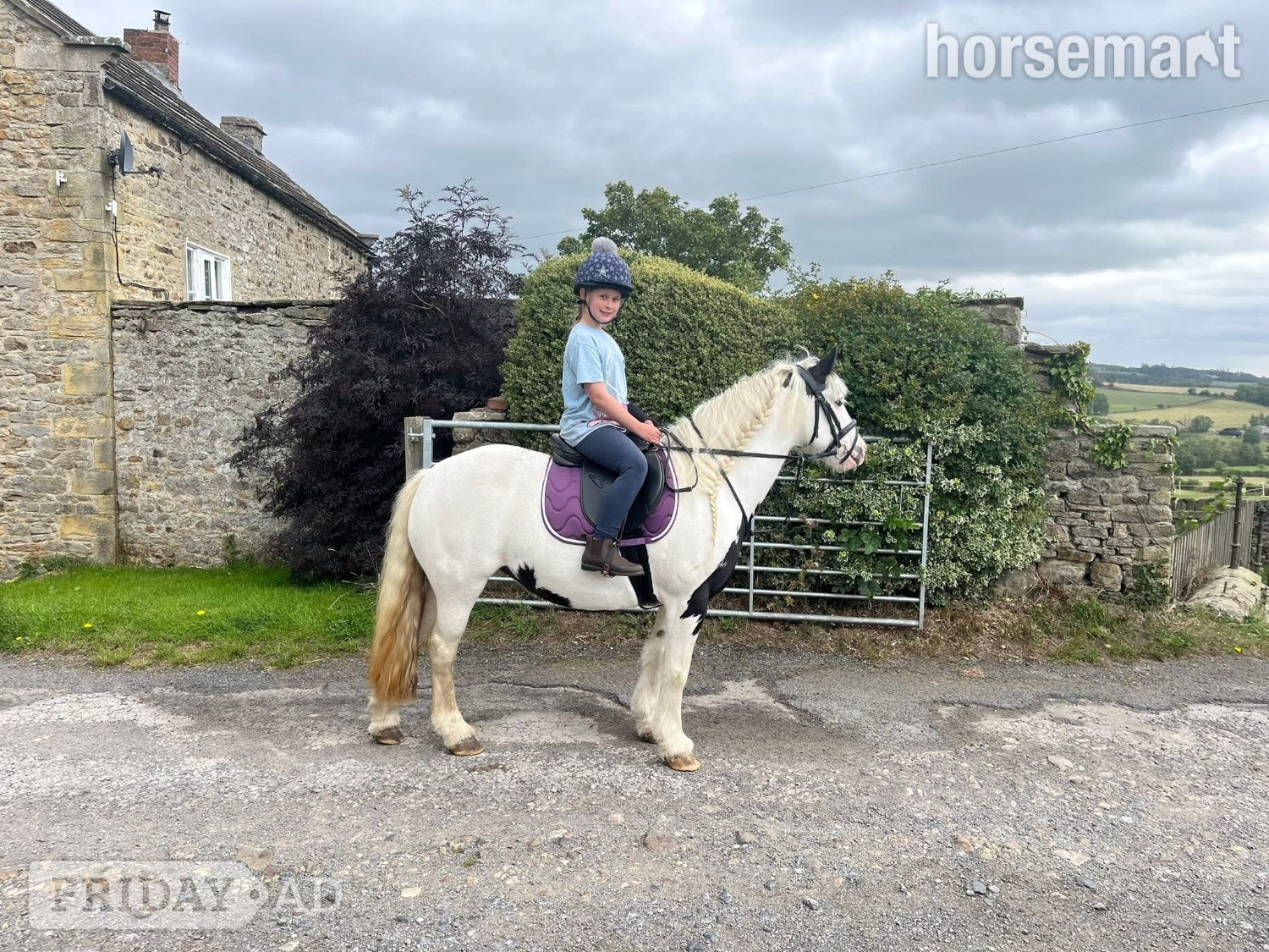 "Matilda " Piebald Mare Pony Club Pony in Bishop Auckland