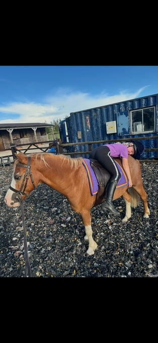 "Jimmy" Chestnut Gelding Lead Rein/First Ridden Pony
