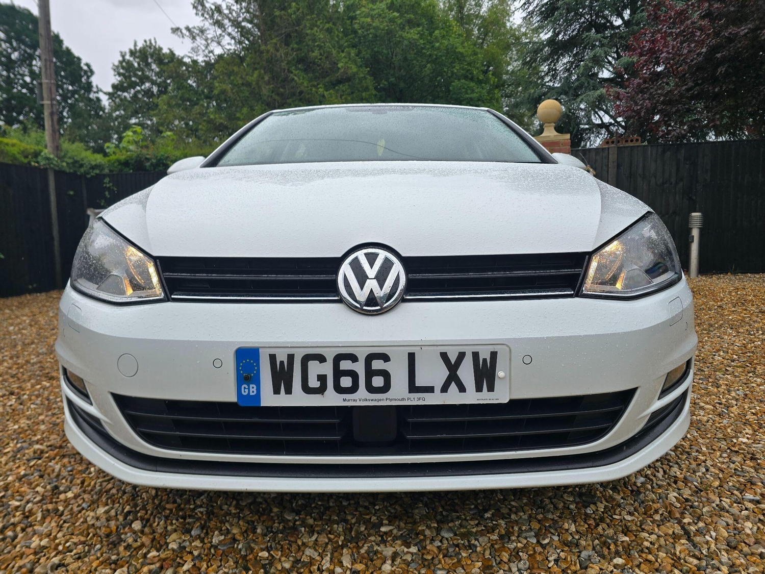 Volkswagen Golf 2016 - Cars in Aldershot