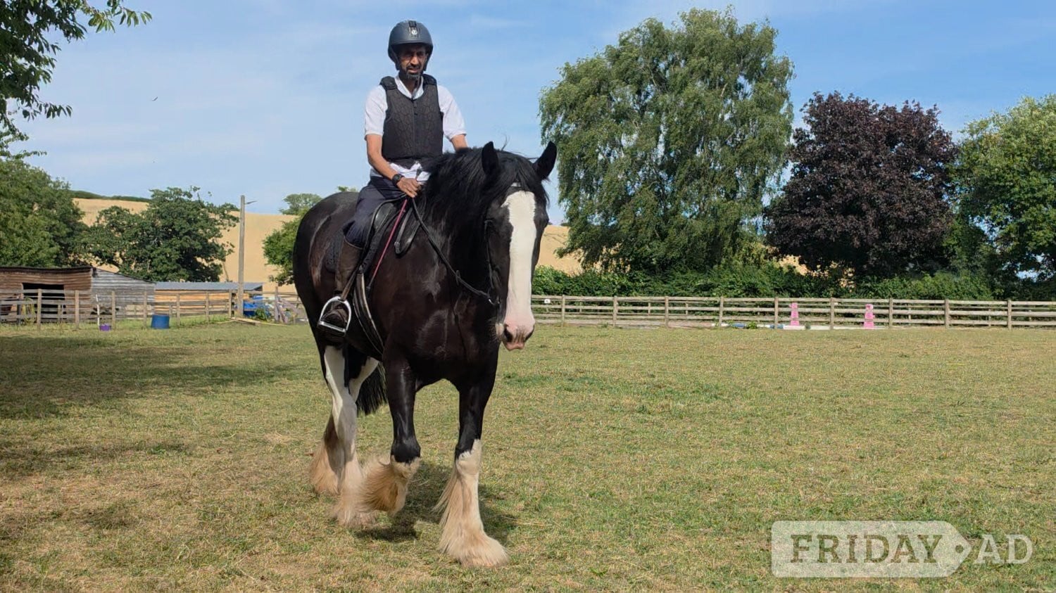 Ross-On-Wye "COWERSLANE Melodie" Black Mare Cob/Heavy Horse