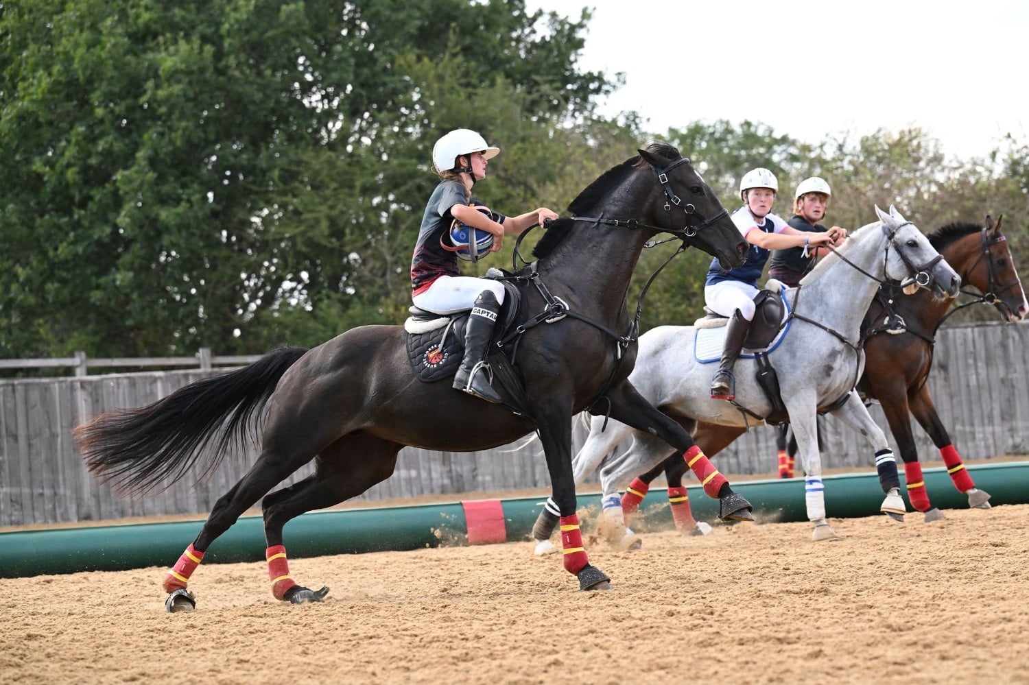 Lancing "Trixie" Black Mare All Rounder