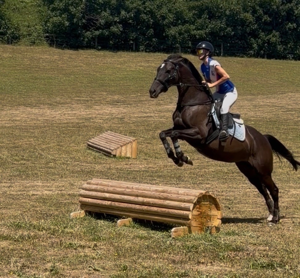 "Trixie" Black Mare All Rounder - Horses