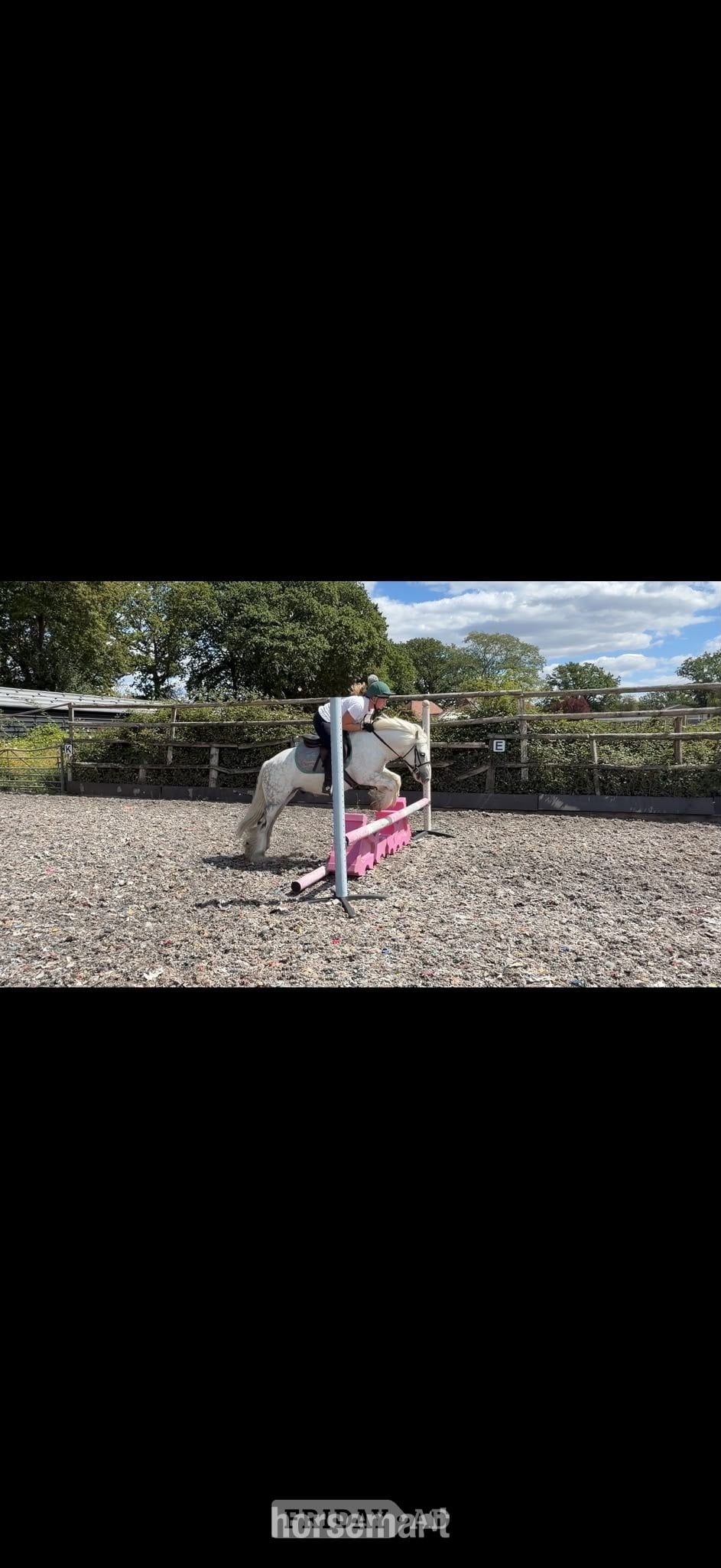 "Bluebell" Dapple Grey Gelding Lead Rein/First Ridden Pony in Haywards Heath